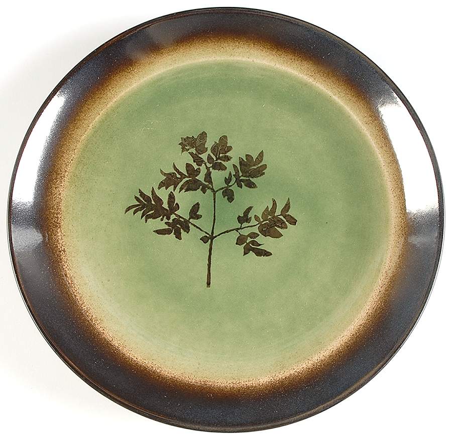 Whisper Green Dinner Plate by Red Vanilla-1