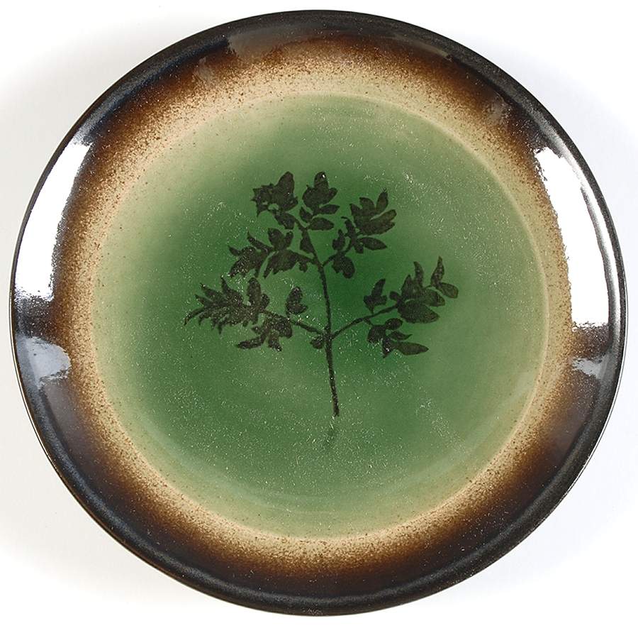 Whisper Green Salad Plate by Red Vanilla-1
