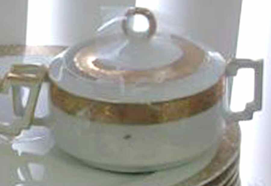 R2145 Sugar Bowl & Lid by Rosenthal - Continental-1