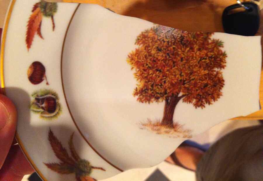 Nut Orchard Dinner Plate by Rochard-1