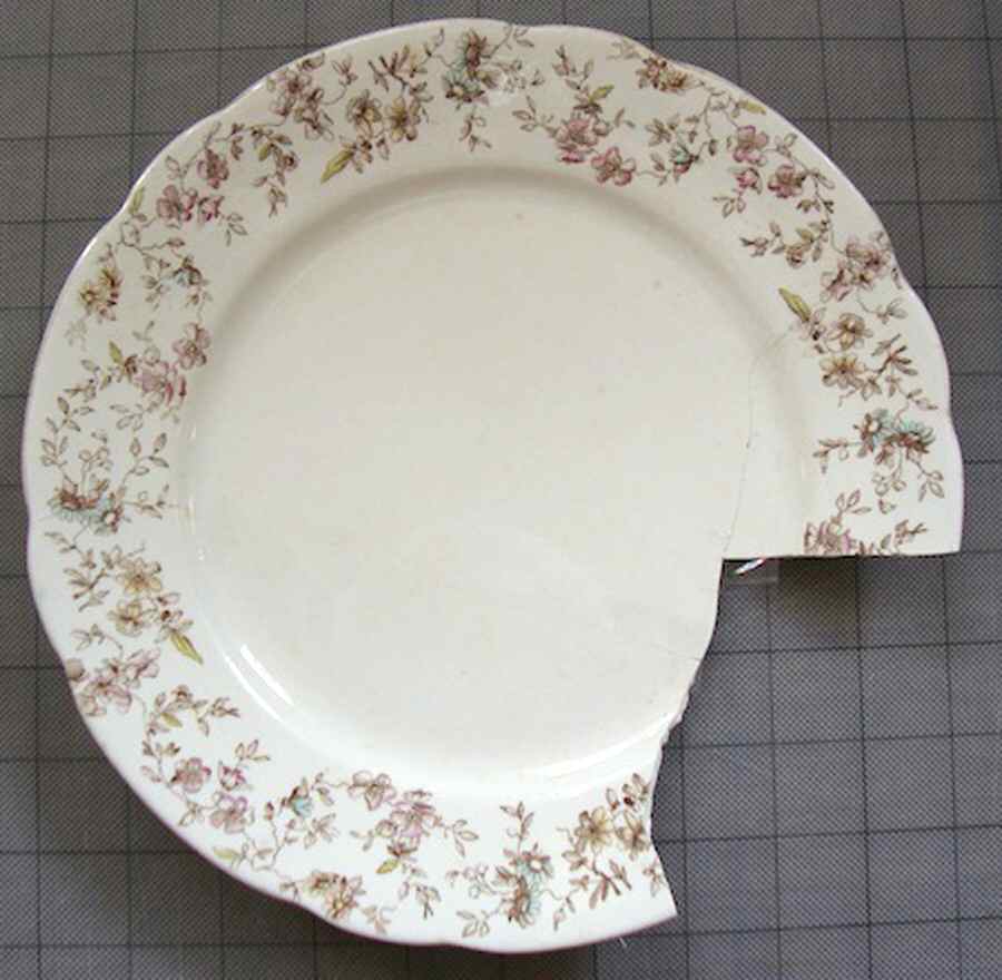 RID82 Dinner Plate by Ridgway (Ridgways)-1