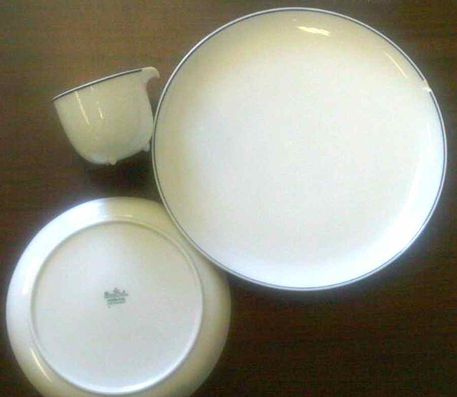 R1932 Dinner Plate by Rosenthal - Continental-1