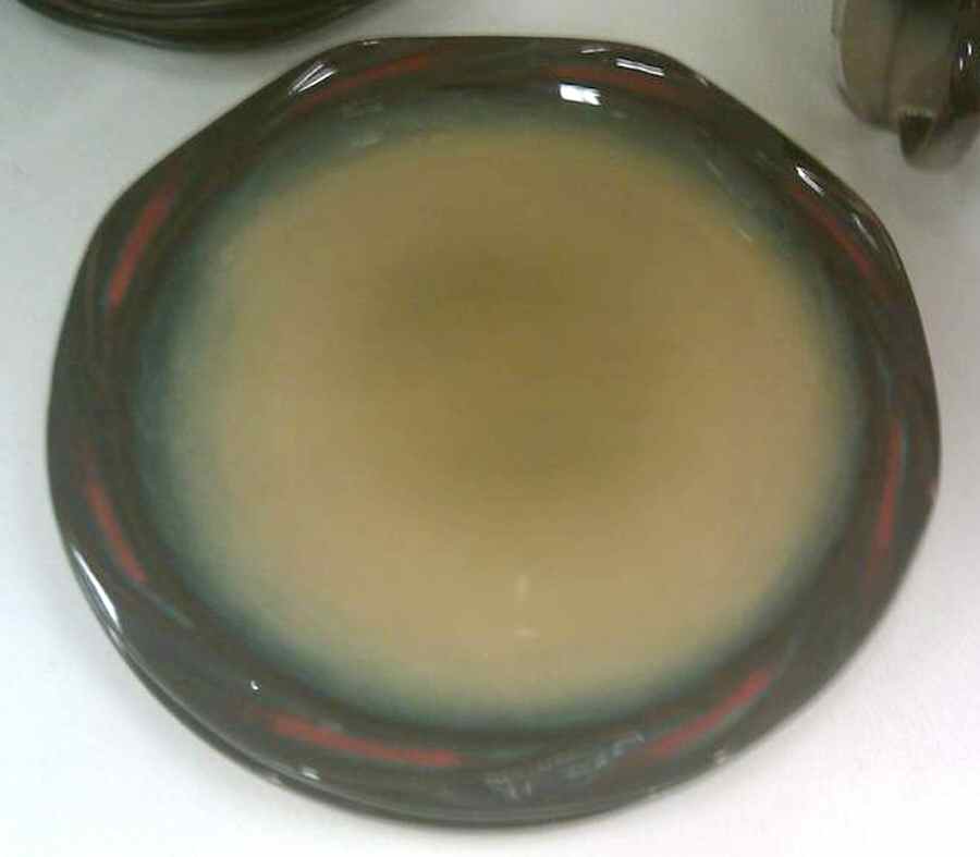 Winchester Dinner Plate by Roscher & Co-1