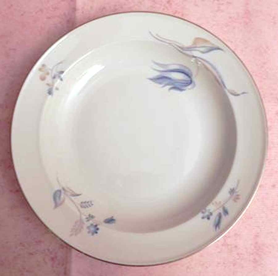 R2163 Rim Soup Bowl by Rosenthal - Continental-1