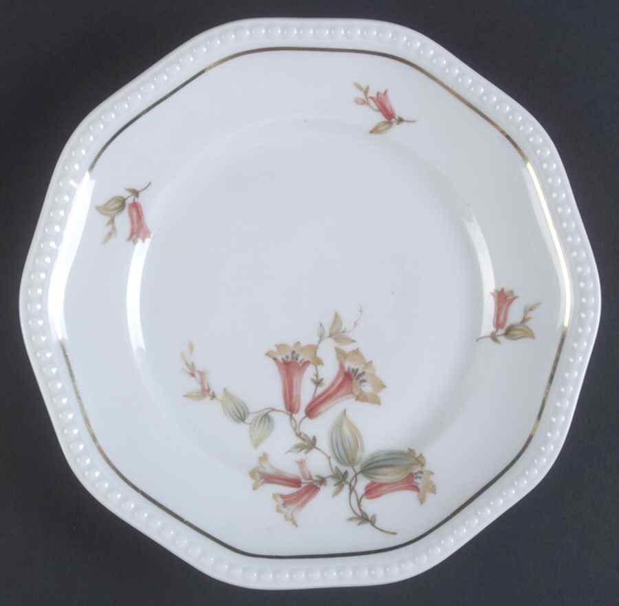 R2166 Salad Plate by Rosenthal - Continental-1