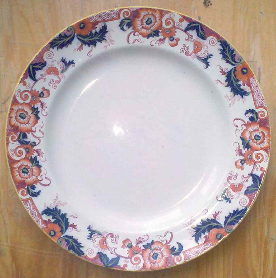 H7507 Dinner Plate by Royal Cauldon-1