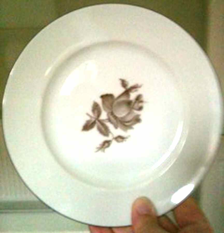 ROT294 Salad Plate by Royal Tettau-1