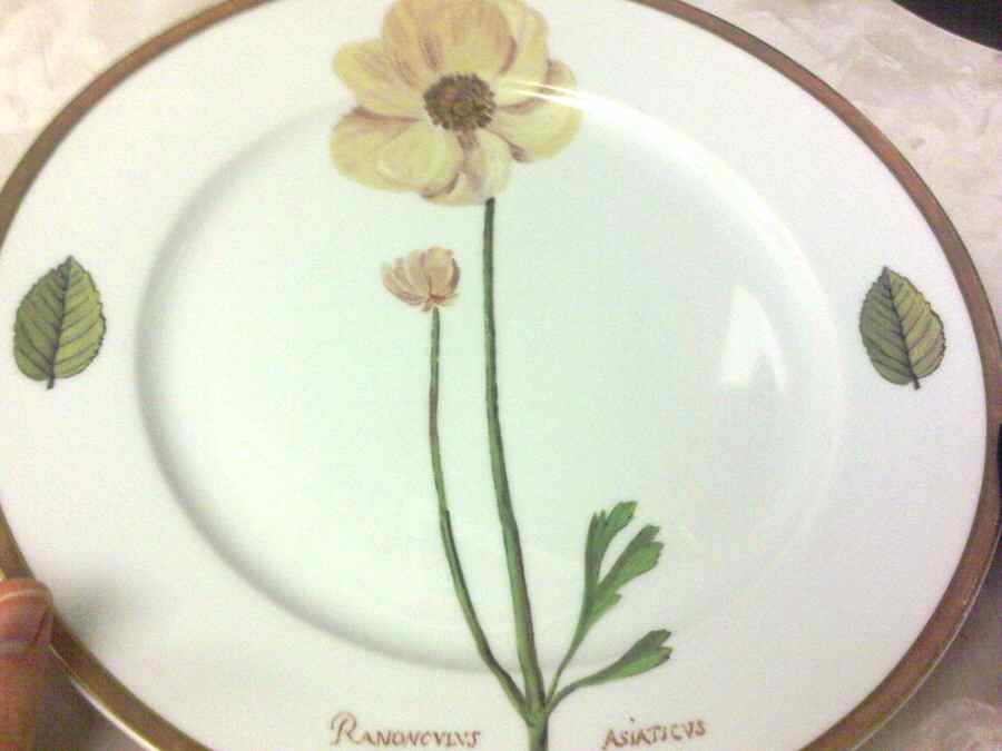 R2170 Dinner Plate by Rosenthal - Continental-1