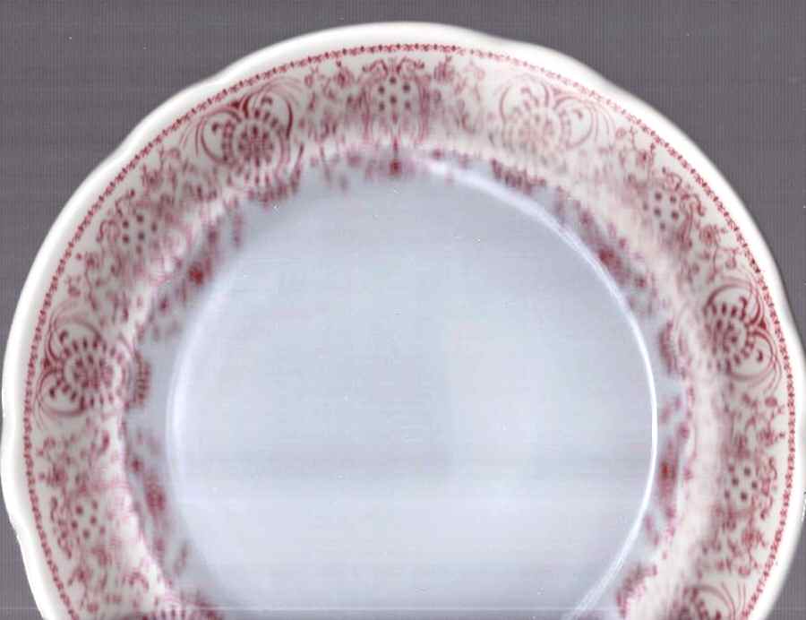 ROJ262 Dinner Plate by Royal Jackson-1