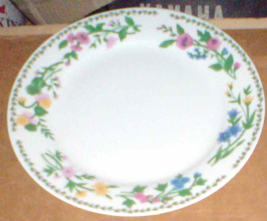RNF57 Dinner Plate by Royal Norfolk-1