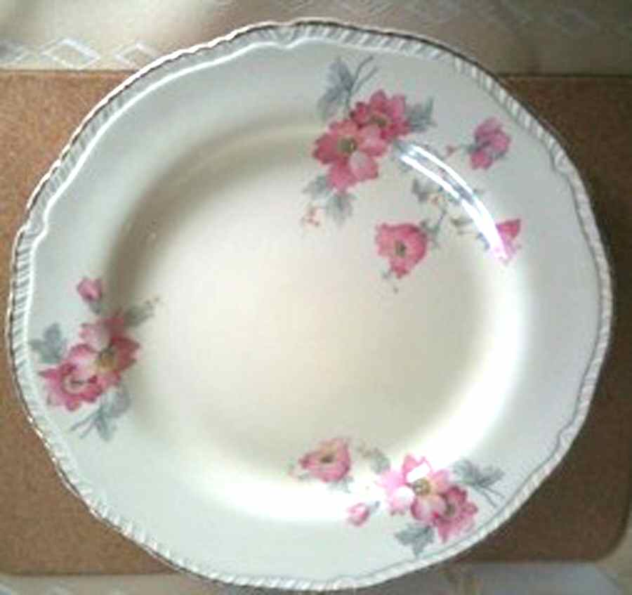 RID84 Dinner Plate by Ridgway (Ridgways)-1