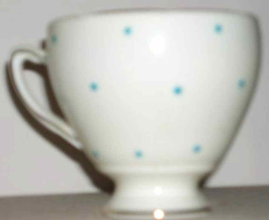 6883 Footed Cup by Royal Grafton-1