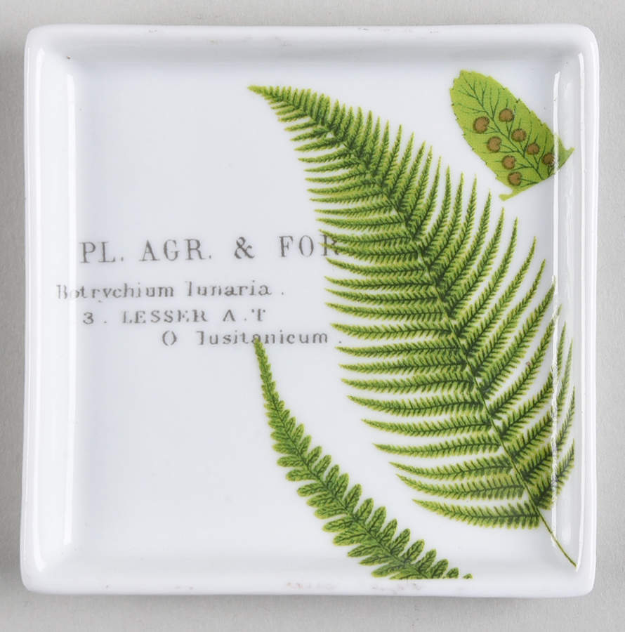 L'Orangerie Individual Dip Dish by Rosanna-1