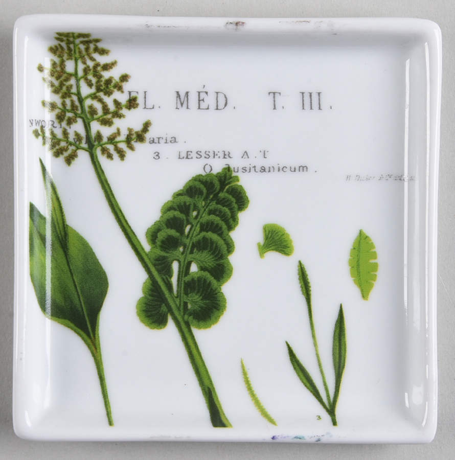 L'Orangerie Individual Dip Dish by Rosanna-1