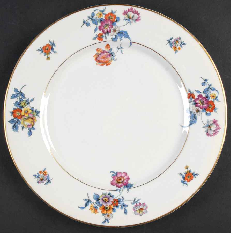 ROJ266 Dinner Plate by Royal Jackson-1