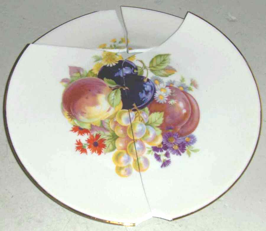 R2196 Dinner Plate by Rosenthal - Continental-1