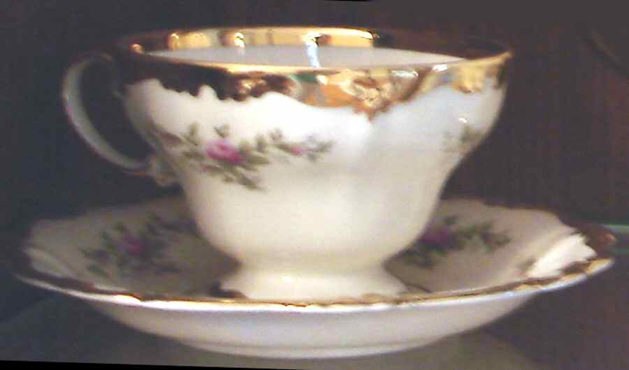 R1938 Footed Cup & Saucer Set by Rosenthal - Continental-1