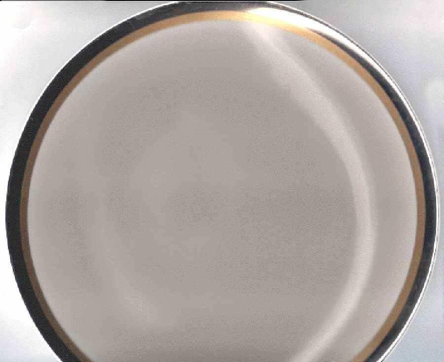 ROJ267 Dinner Plate by Royal Jackson-1