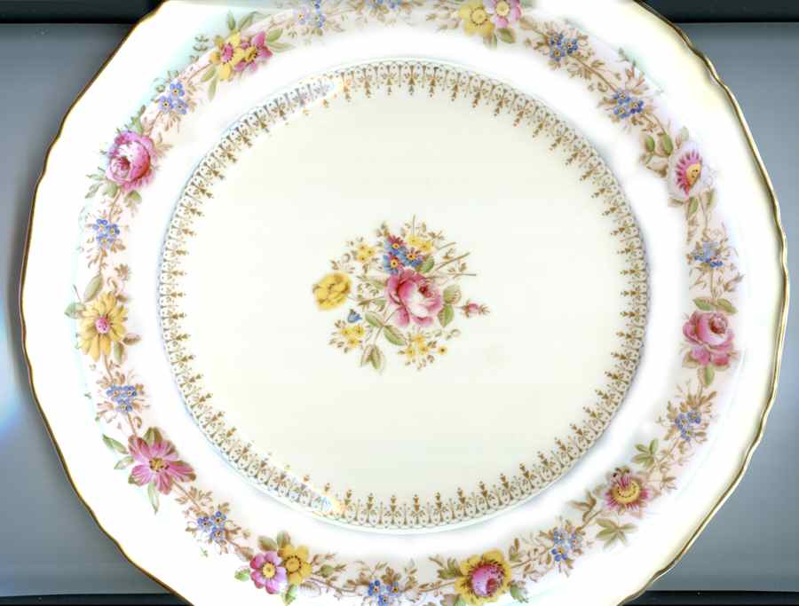 Z1446-1 Dinner Plate by Royal Worcester-1