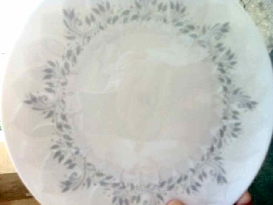 R2209 Dinner Plate by Rosenthal - Continental-1
