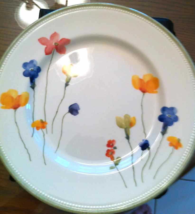 RST190 Dinner Plate by Royal Stafford-1