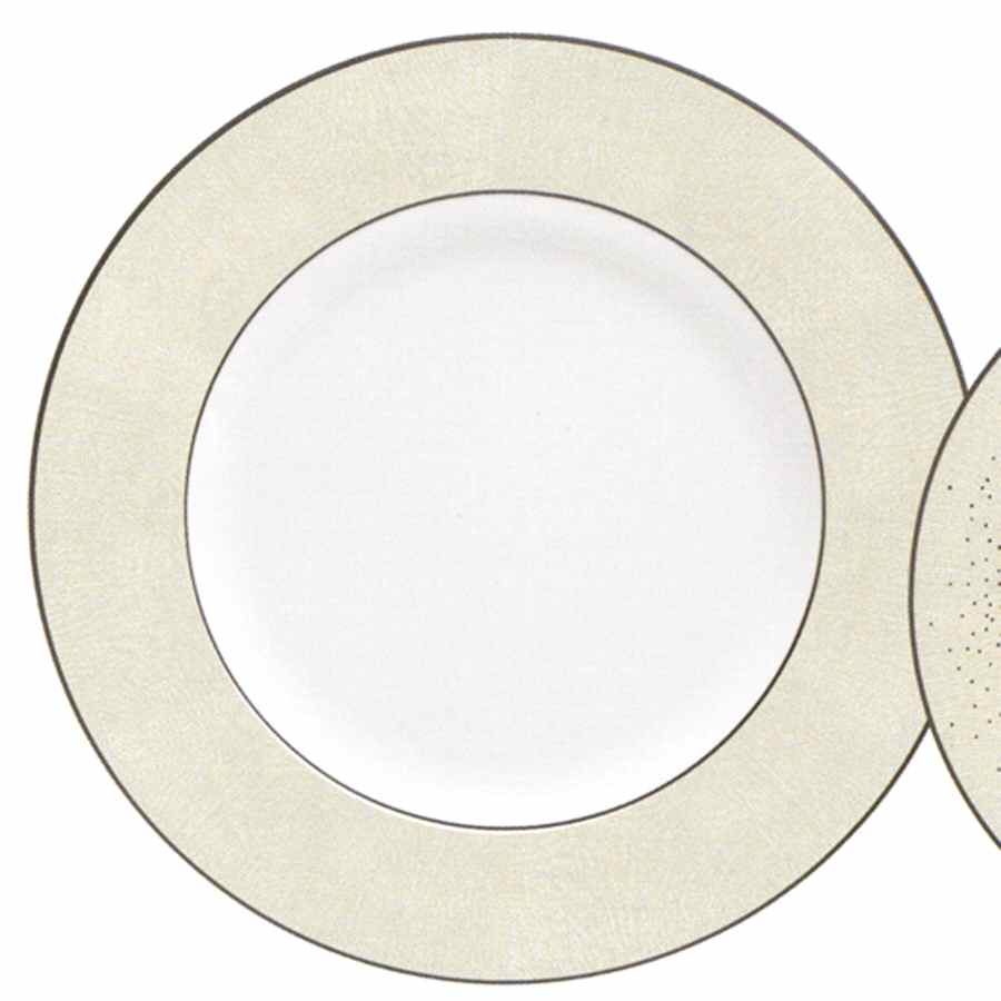 Stardust Dinner Plate by Royal Doulton-1