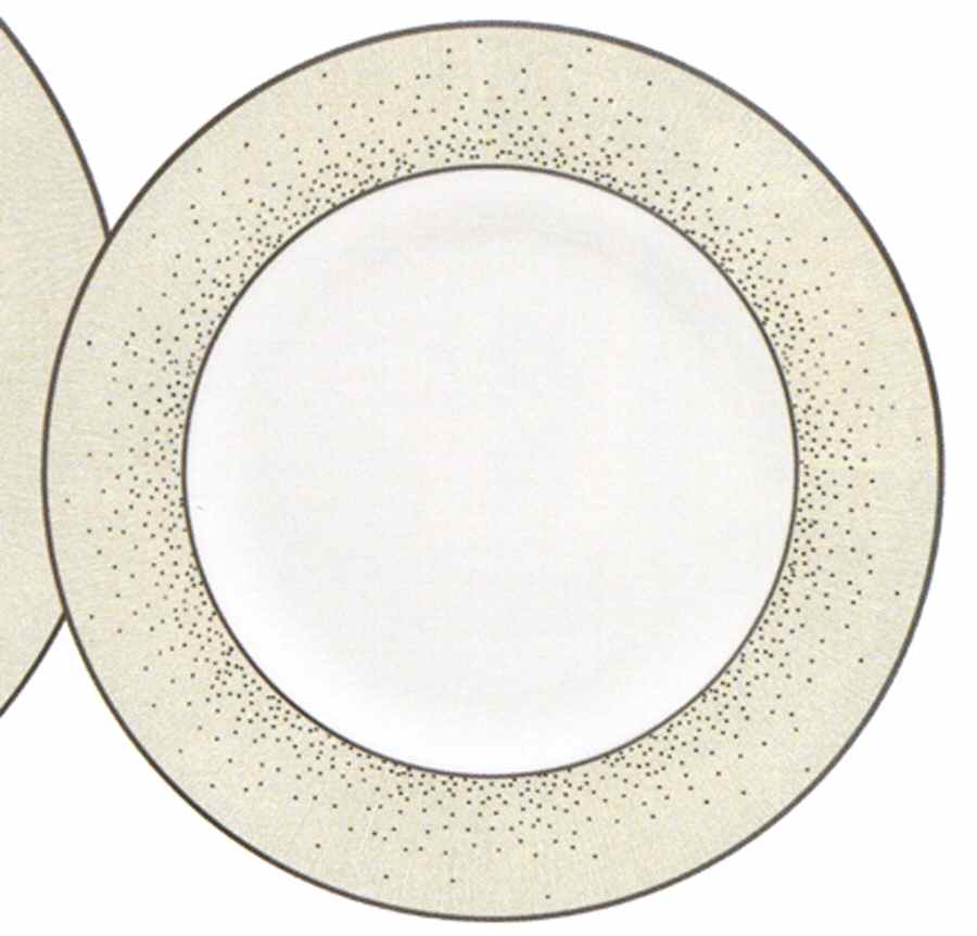 Stardust Accent Luncheon Plate by Royal Doulton-1