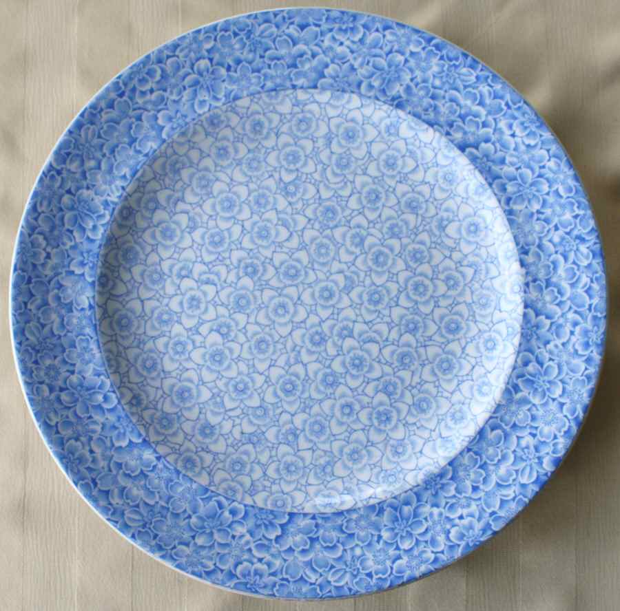 W411 (No Trim) Dinner Plate by Royal Worcester-1