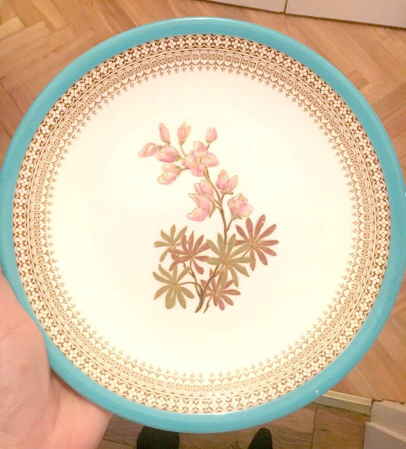 W2097 Luncheon Plate by Royal Worcester-1