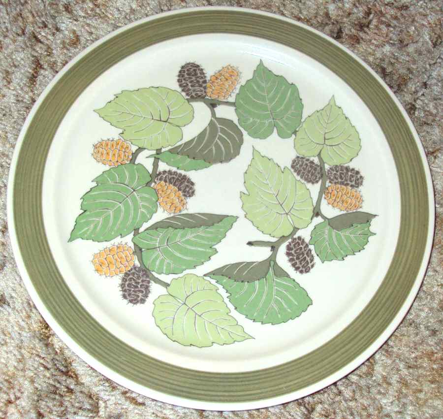 R2223 Dinner Plate by Rosenthal - Continental-1