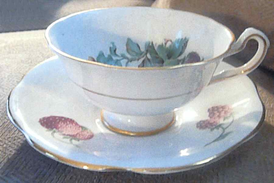 5057F Footed Cup & Saucer Set by Rosina-Queens-1