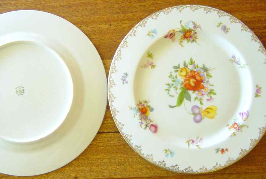ROB445 Dinner Plate by Royal Bayreuth-1