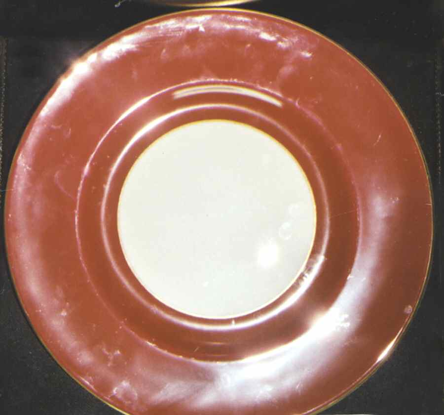 Z2136 (Maroon Band) Dinner Plate by Royal Worcester-1