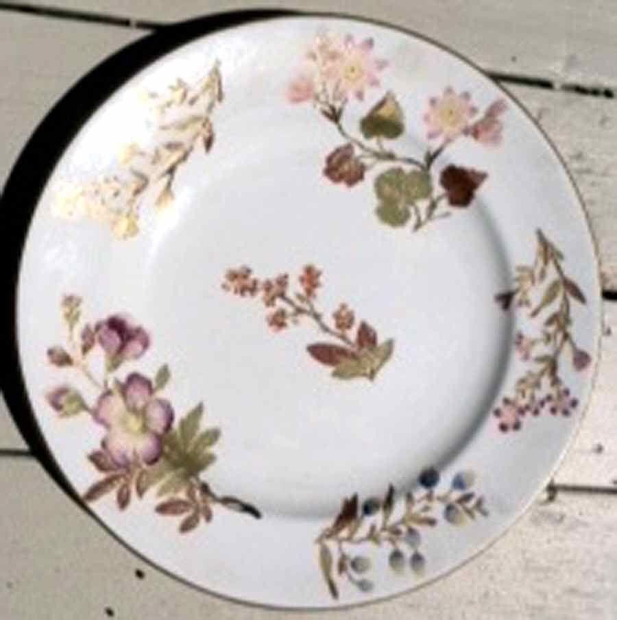 W2306 Dinner Plate by Royal Worcester-1