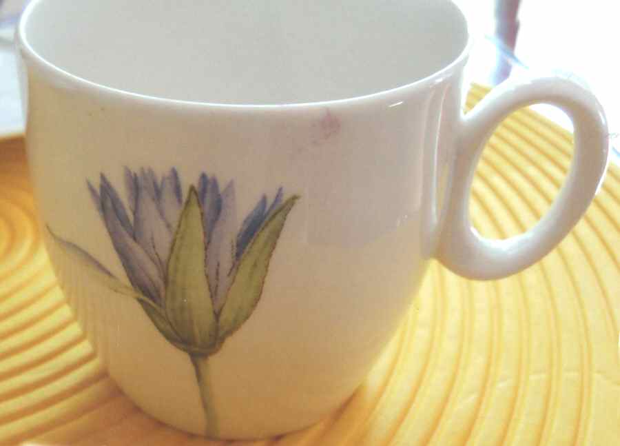 Lotus Flat Cup by Royal Fine China-1