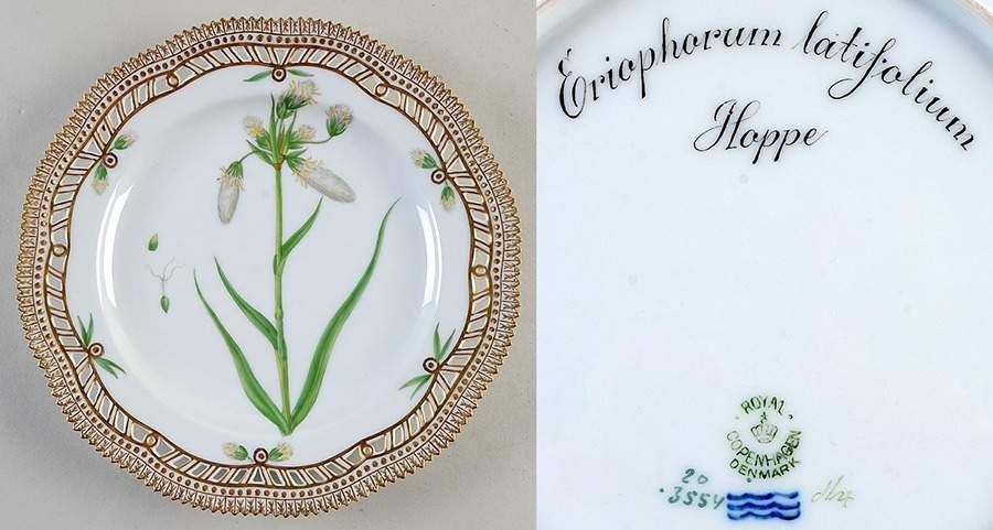 Flora Danica (1790 To 1960) 9" Pierced Luncheon Plate/Fruit-Eriophorum latifal by Royal Copenhagen-1