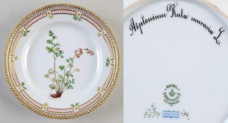 Flora Danica (1790 To 1960) Salad Plate-Asplenium Ruta muraria L by Royal Copenhagen-1
