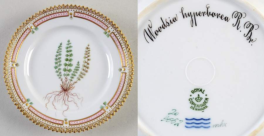 Flora Danica (1790 To 1960) Bread & Butter Plate-Woodisia hyperbarea R Bv. by Royal Copenhagen-1