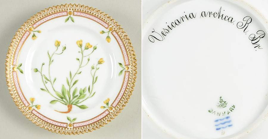 Flora Danica (1790 To 1960) Bread & Butter Plate-Vesicaria arctica R Br. by Royal Copenhagen-1