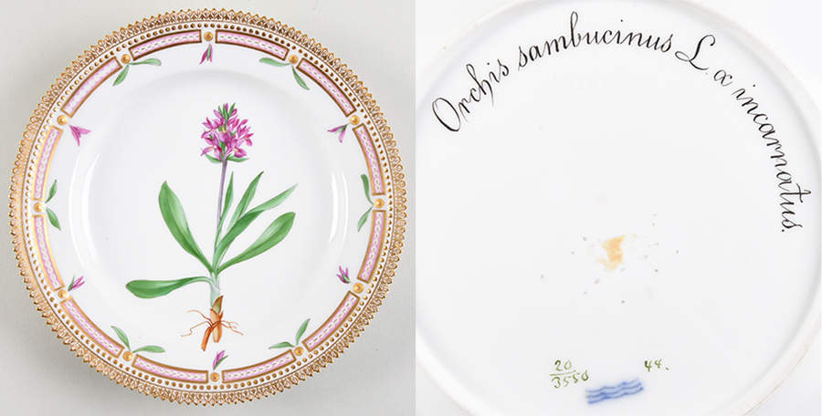 Flora Danica (1790 To 1960) Luncheon Plate Orchis sambucinus L oc incarnatus by Royal Copenhagen-1