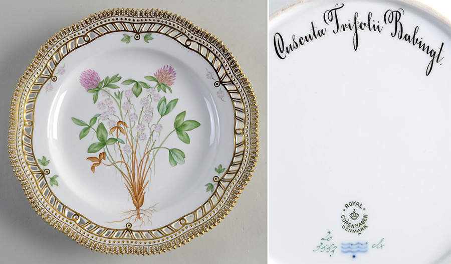 Flora Danica (1790 To 1960) 10" Pierced Dinner Plate/Fruit Std-Cuscuta trifoli by Royal Copenhagen-1