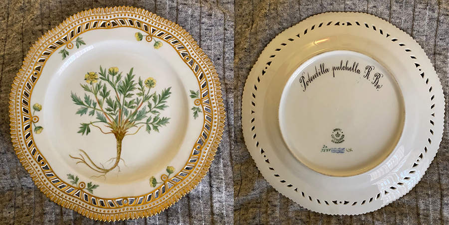 Flora Danica (1790 To 1960) 9" Pierced Luncheon Plate/Fruit Std-Potentilla pul by Royal Copenhagen-1