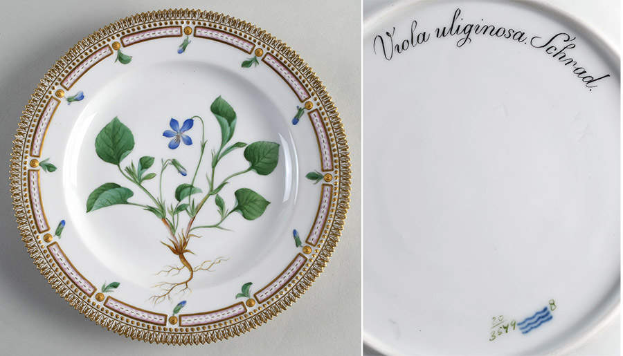 Flora Danica (1790 To 1960) Dinner Plate-Viola uliginosa Schrad by Royal Copenhagen-1