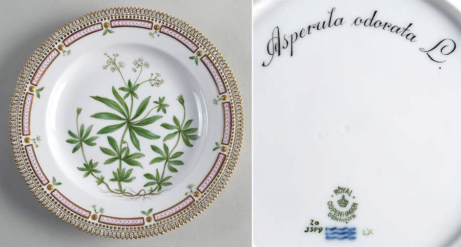 Flora Danica (1790 To 1960) Dinner Plate-Asperula adorata L. by Royal Copenhagen-1