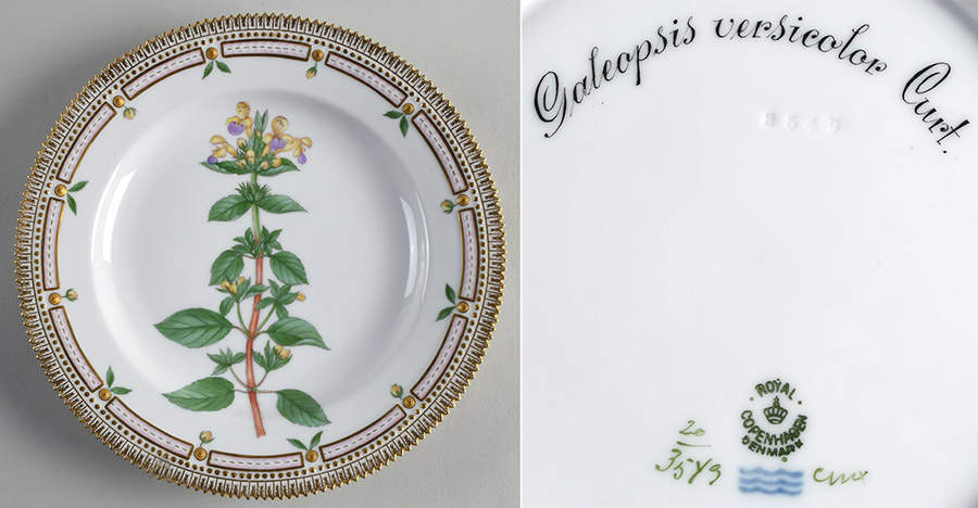Flora Danica (1790 To 1960) Dinner Plate-Galeopsis versicolor Curt. by Royal Copenhagen-1