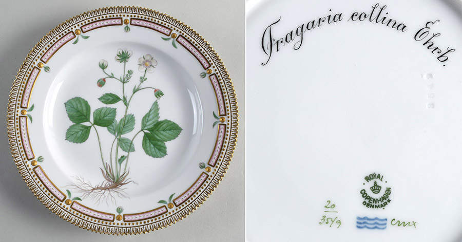 Flora Danica (1790 To 1960) Dinner Plate-Fracaria collina Ehrb by Royal Copenhagen-1