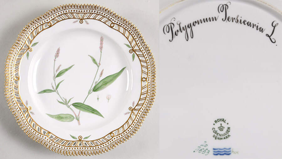 Flora Danica (1790 To 1960) 10" Pierced Dinner Plate/Fruit Std-Polygonum persi by Royal Copenhagen-1