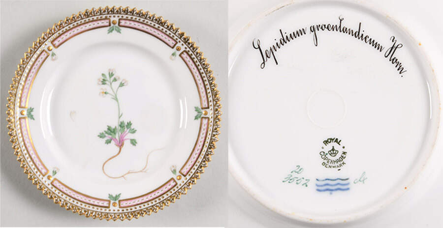 Flora Danica (1790 To 1960) Bread & Butter Plate-Lepidium groenlandicum Horn by Royal Copenhagen-1