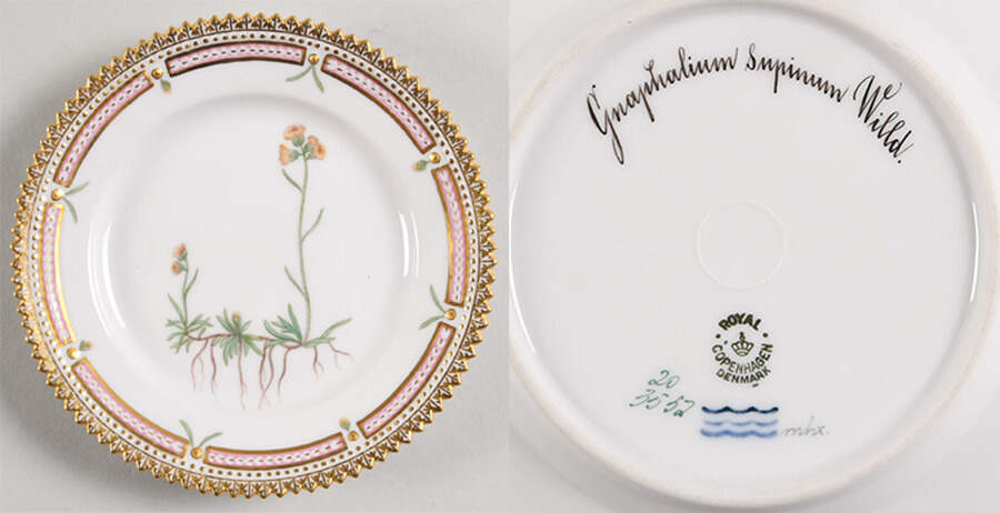 Flora Danica (1790 To 1960) Bread & Butter Plate-Gnaphalium supinum Willd by Royal Copenhagen-1