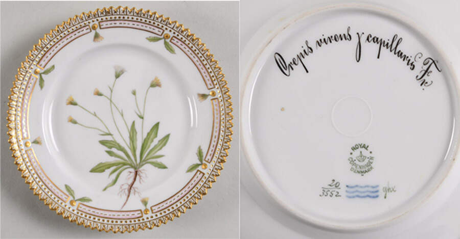 Flora Danica (1790 To 1960) Bread & Butter Plate-Crepis virens Y capillaris Fr by Royal Copenhagen-1